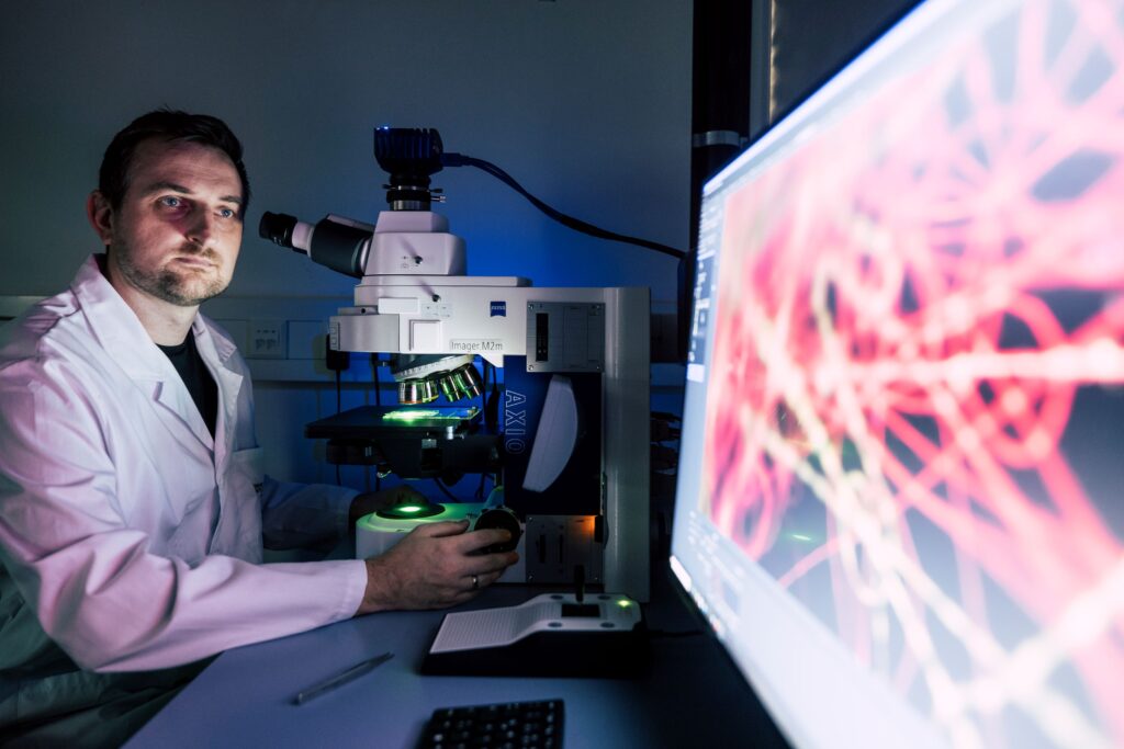Fluorescence microscopy for analyzing biological markers, nanoparticle distribution, and microfluidic structures with high-quality imaging.